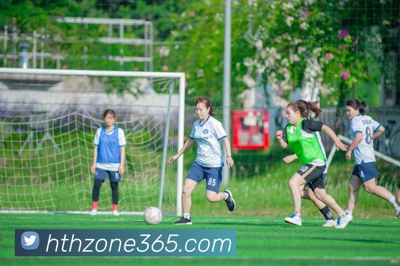 华体会(hth)APP 封面图